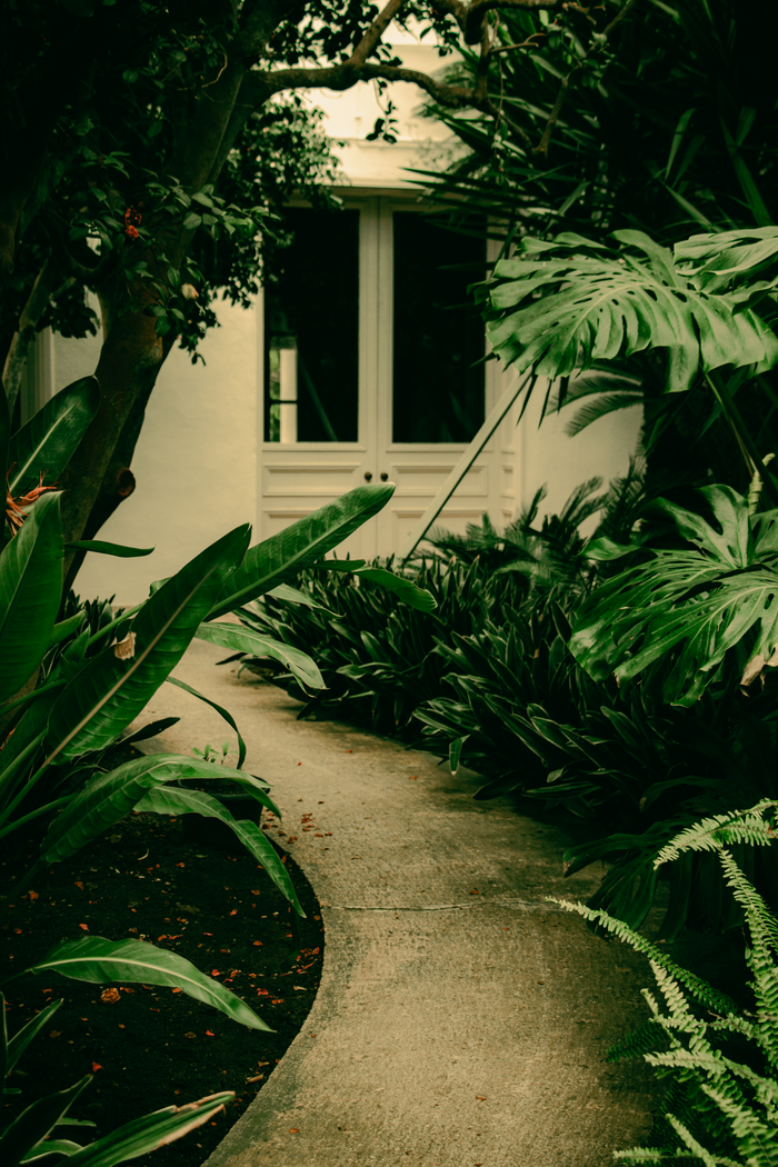 Services Green garden path leads to a white doorway, surrounded by lush tropical foliage.