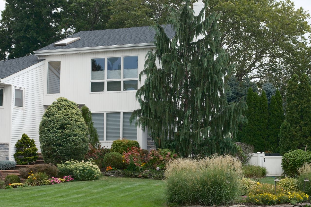 Services Beautiful suburban home with manicured garden and diverse greenery, capturing modern residential architecture.