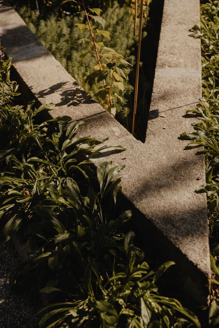Services A triangular stone pathway surrounded by lush greenery in a sunlit garden setting.